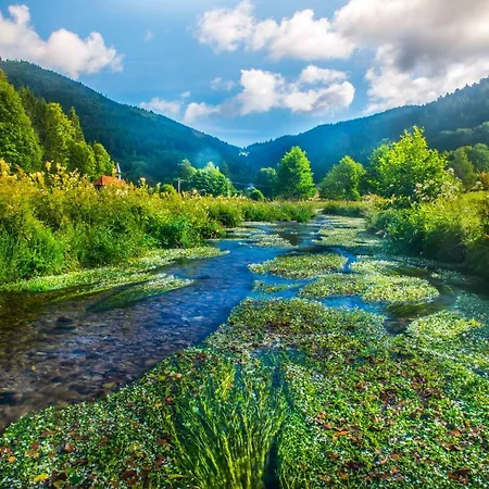 Valtin לה ולטה