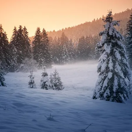 Valtin ベッド・アンド・ブレックファスト 3*