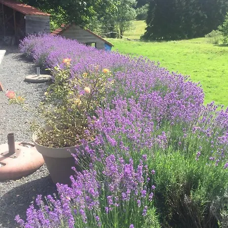 ベッド・アンド・ブレックファスト Valtin