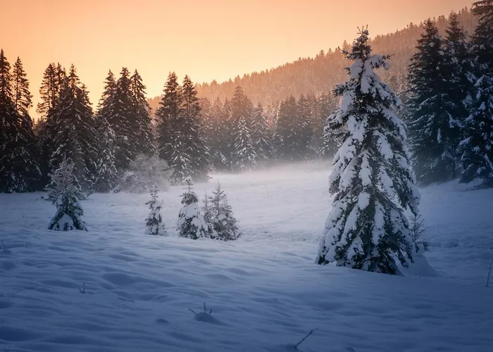 Valtin Bed & Breakfast 3*