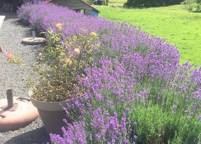 ベッド・アンド・ブレックファスト Valtin